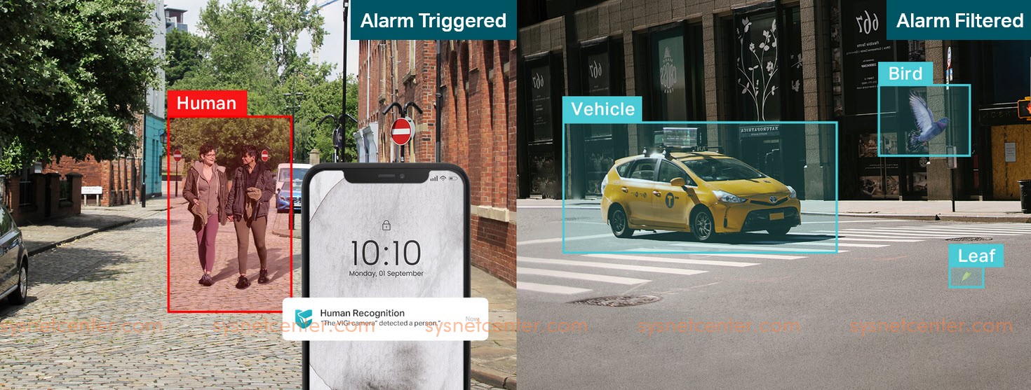 TP-Link VIGI IP Camera Human & Vehicle Classification